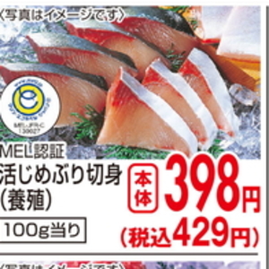 ぶり（切り身）