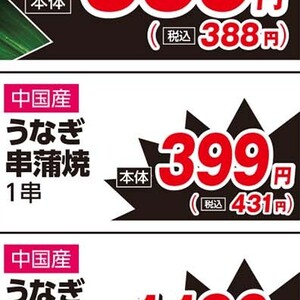 うなぎの蒲焼き