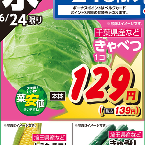 きゃべつ