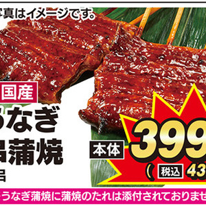 うなぎの蒲焼き