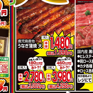 うなぎの蒲焼き