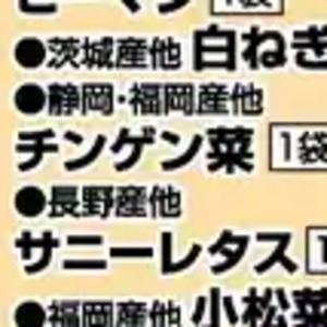 ちんげん菜