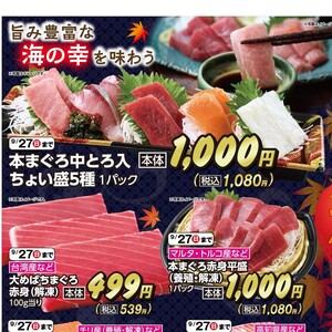 まぐろ中とろ
