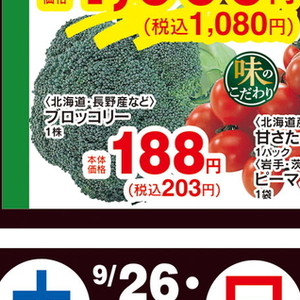 ブロッコリー