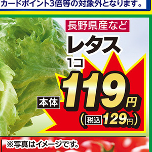 レタス