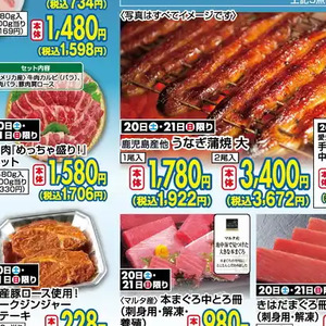 うなぎの蒲焼き