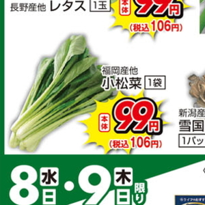 こまつ菜