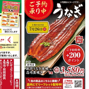 うなぎの蒲焼き