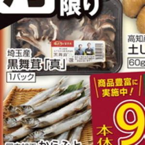 ごぼう
