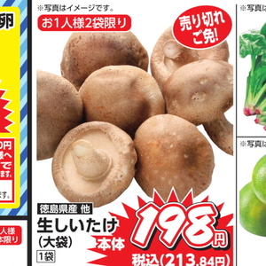 しいたけ