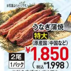 うなぎの蒲焼き
