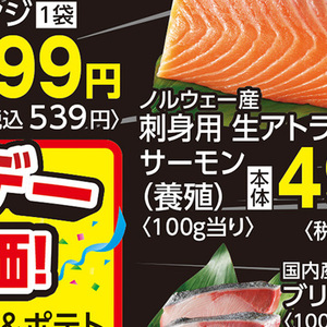 サーモン（刺身）