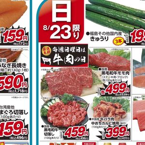 うなぎの蒲焼き