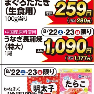 うなぎの蒲焼き