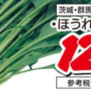 ほうれん草