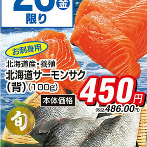 サーモン（さく取り）