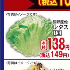 レタス