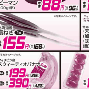 ながねぎ