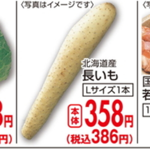 ながいも