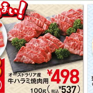 牛肉ハラミ