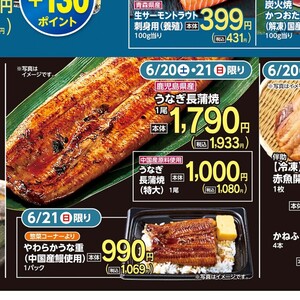 うなぎの蒲焼き