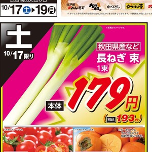 ながねぎ