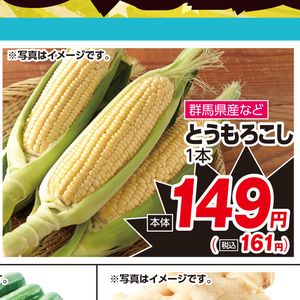 とうもろこし