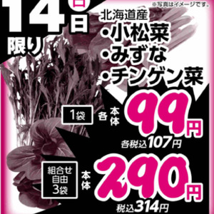こまつ菜