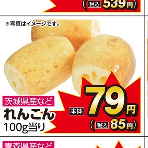 レンコン