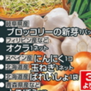 たまねぎ
