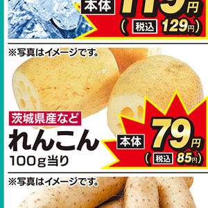 レンコン