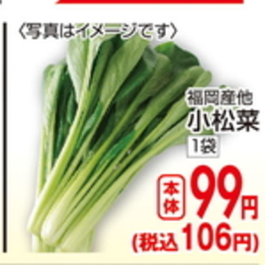 こまつ菜