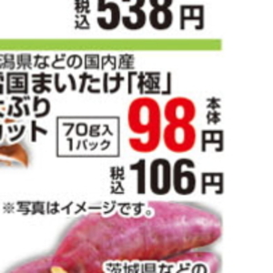 かぼちゃ