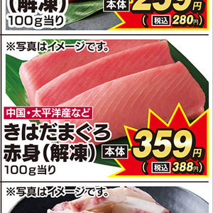 まぐろ赤身