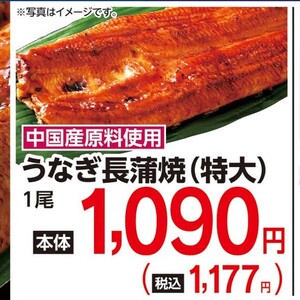 うなぎの蒲焼き