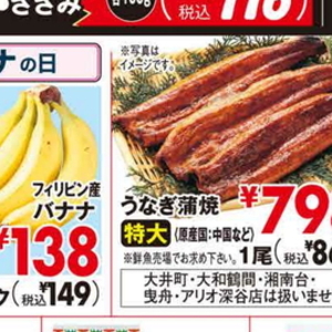 うなぎの蒲焼き