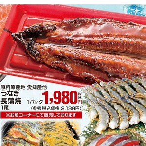 うなぎの蒲焼き