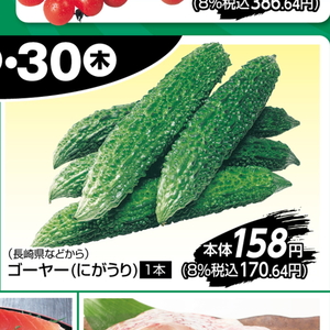 ゴーヤ