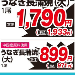 うなぎの蒲焼き