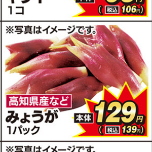 みょうが