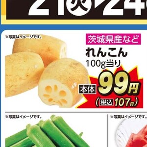 レンコン