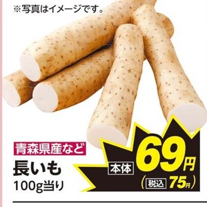 ながいも