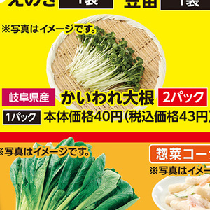カイワレ大根