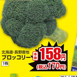 ブロッコリー