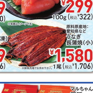 うなぎの蒲焼き