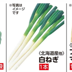 ながねぎ