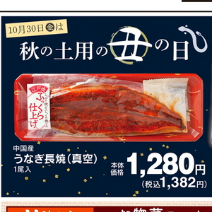 うなぎの蒲焼き