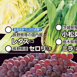 こまつ菜