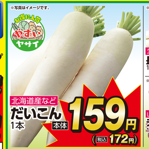 だいこん