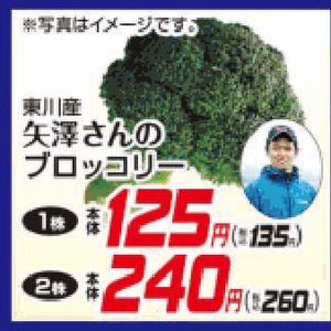 ブロッコリー